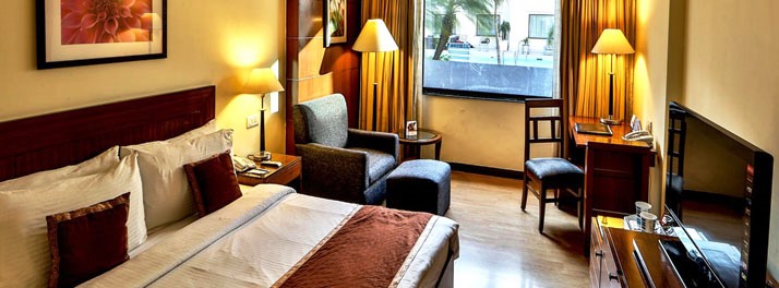 195/Fort Klassik Hotel - Ludhiana 10.jpg